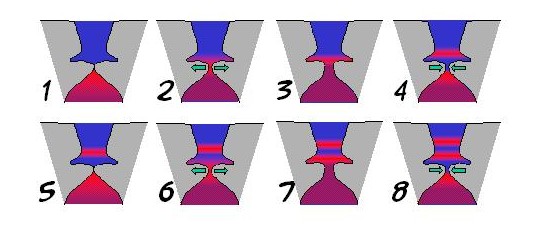 Animation - Voisement